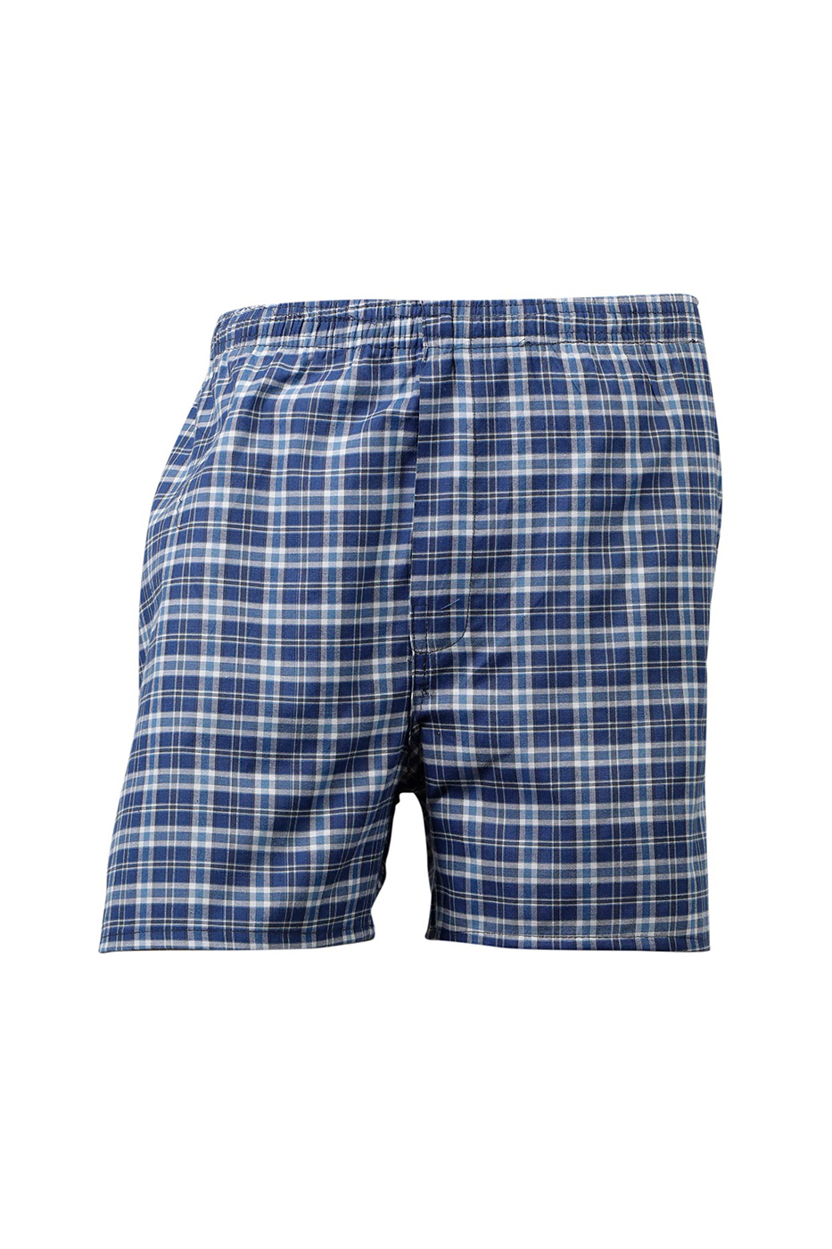 boxer-blue-white-3 boxer-blue-white-3
