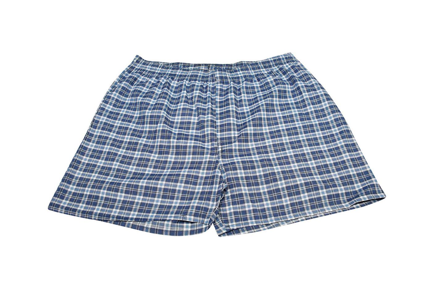 boxer-blue-white-4 boxer-blue-white-4