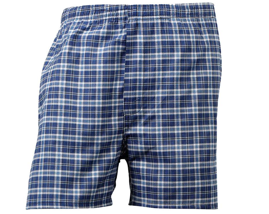 boxer-blue 2k22